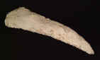 Neolithic to Bronze age flint sickle from Europe, corded ware culture